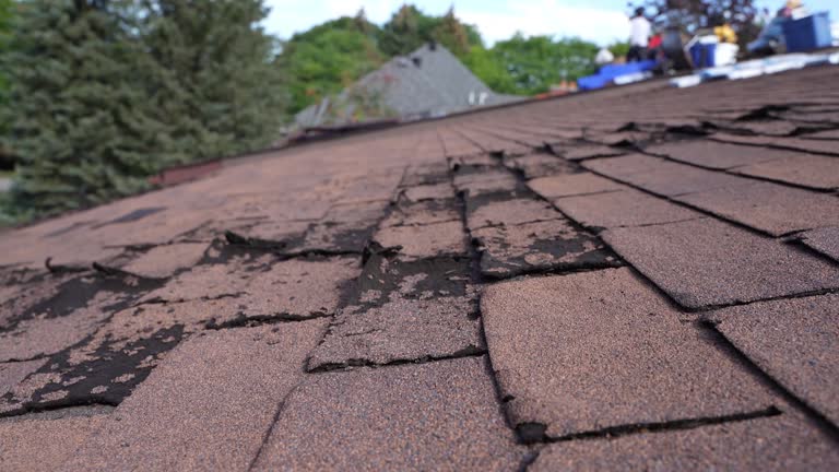 Best Metal Roofing Installation  in Westfield Center, OH